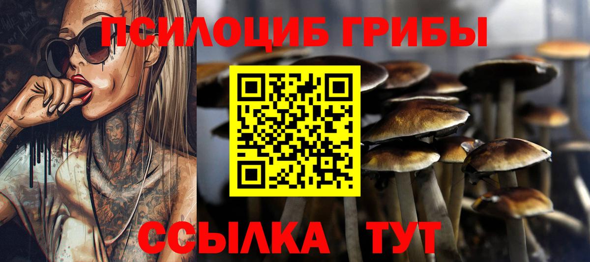 Псилоцибиновые грибы Cubensis Уссурийск